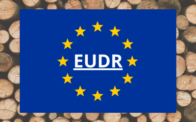 LA COMISION EUROPEA EN APLICACIÓN DEL REGLAMENTO EUDR HA ABIERTO EL REGISTRO EN EL SISTEMA DE INFORMACION DE LA UNION EUROPEA.